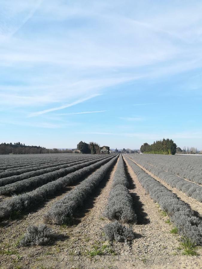 Au Pays Du Ventoux Bed & Breakfast เลอ ตอร์ ภายนอก รูปภาพ